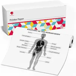 Phomemo rollo de papel termico A4